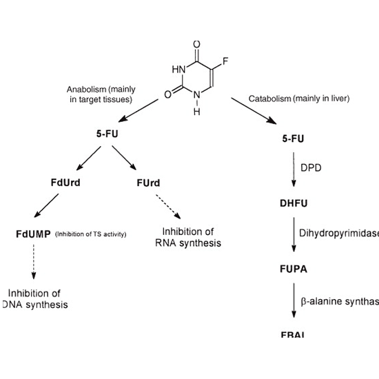 dpyd (deoxypyridinoline) crosslinks, urine